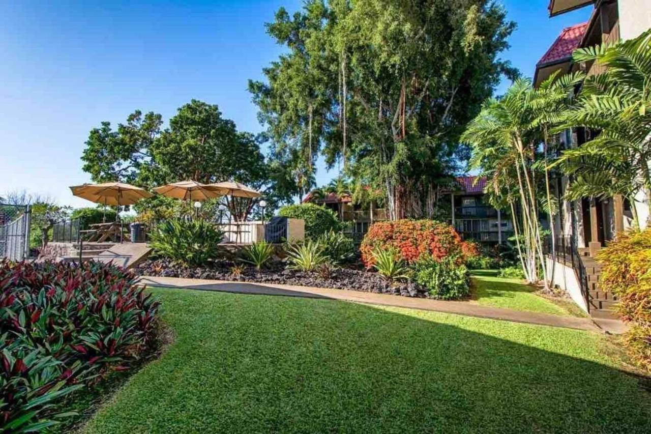 Family Friendly Kailua Bay View Ac Free Parking Walk To Kailua Village Экстерьер фото